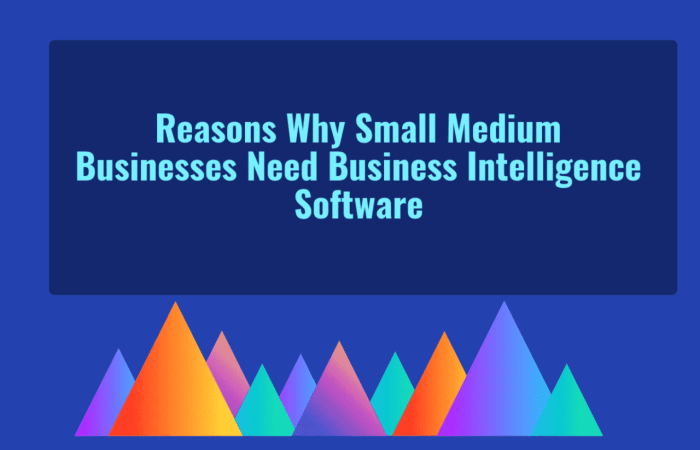 Intelligence tool domo softwaresuggest bussiness pymes list planificación