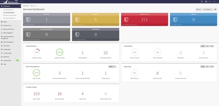 RMM software with advanced remote control and access capabilities